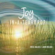 Joy In a Teardrop